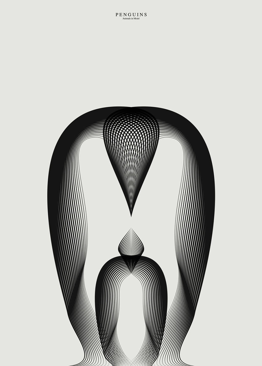 Less Is More: I Create Illustrations By Repeating Two Identical Lines