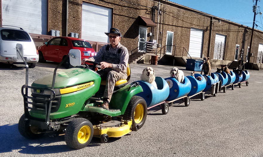 80-Year-Old Man Builds A Dog Train To Take Rescued Stray Dogs On Adventures