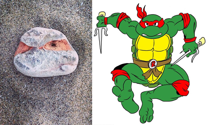 I Found A Rock That Looks Like Raphael