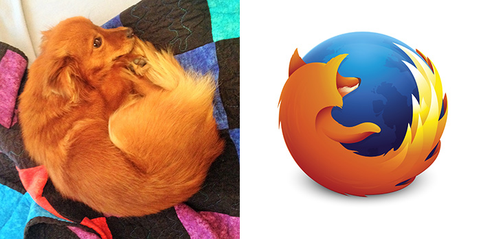 Firefox Dog
