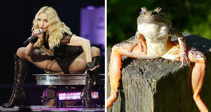 Madonna Looks Like A Frog
