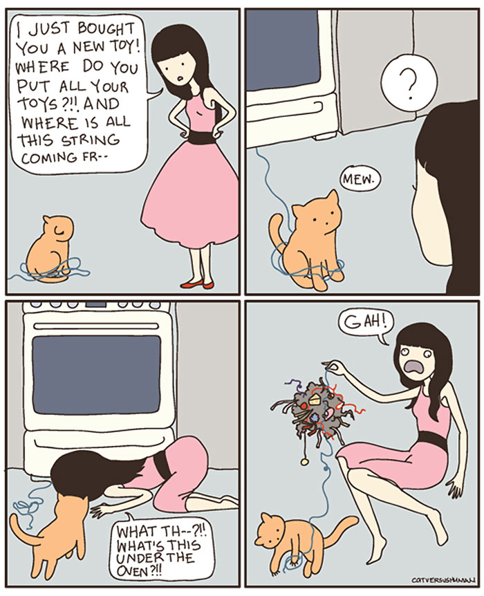 The Reality Of Owning A Cat