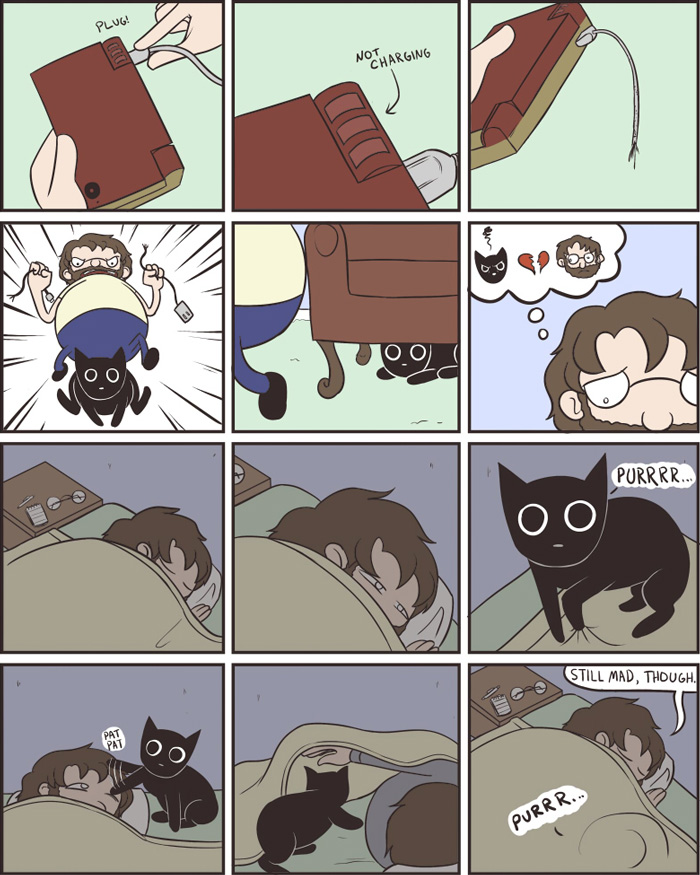 The Reality Of Owning A Cat
