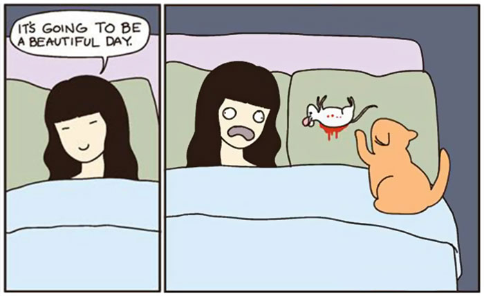 58 Funny Comics Reveal The Reality Of Owning A Cat