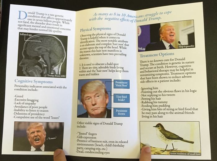 I Added This Fake Health Brochure About Donald Trump To A Doctor's Waiting Room