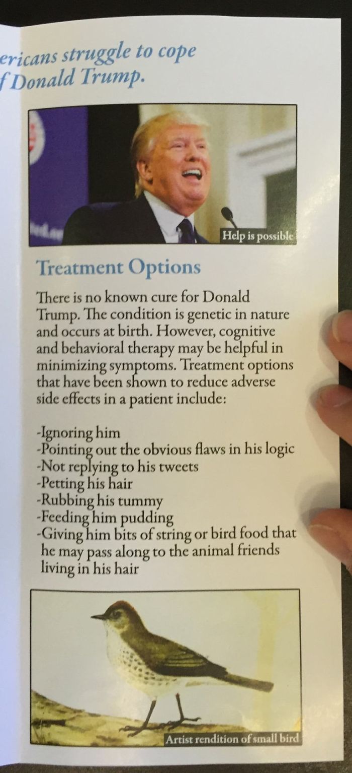 I Added This Fake Health Brochure About Donald Trump To A Doctor's Waiting Room