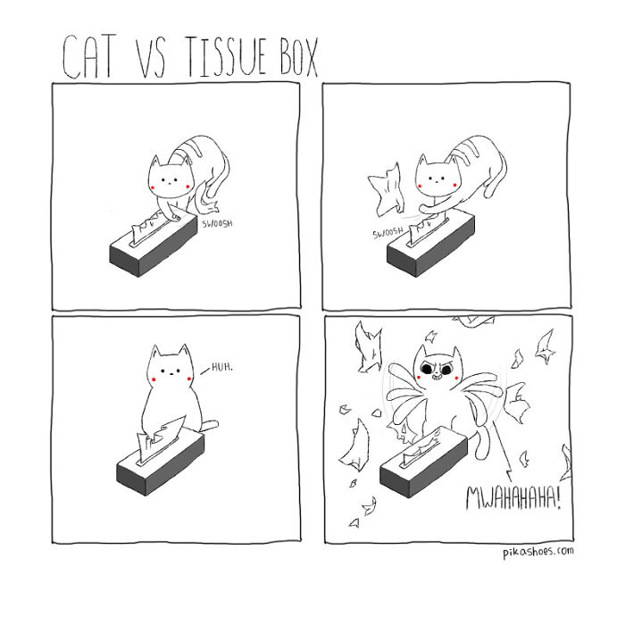 Cat Vs. Tissue Box
