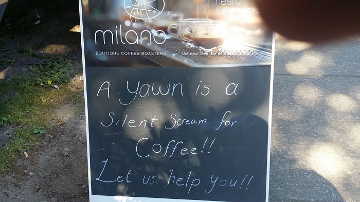 That Explains Why I Yawn So Much!