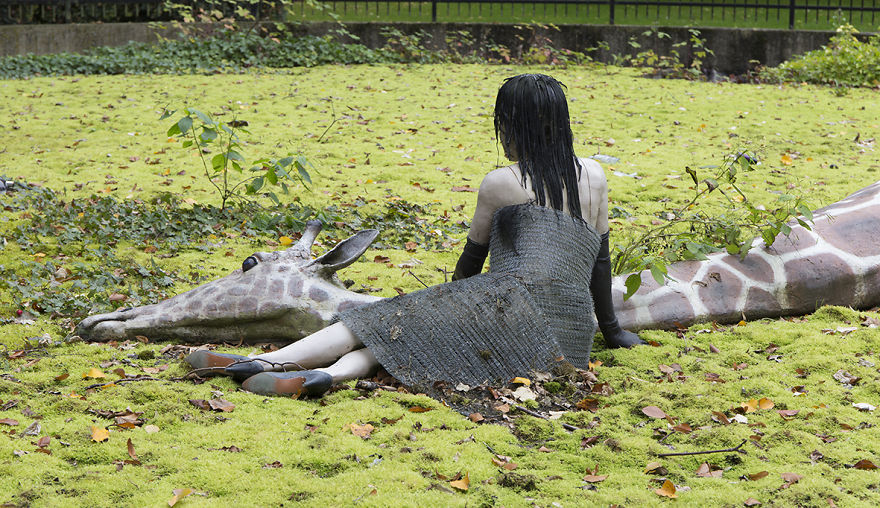 Save Our Animals