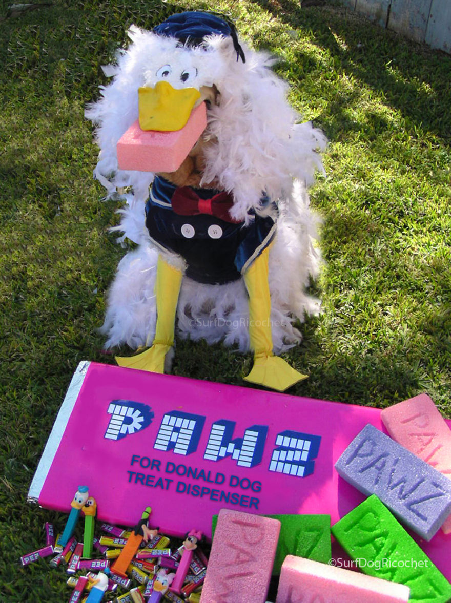 24 Funny Howloween Costumes I Made For My Dogs