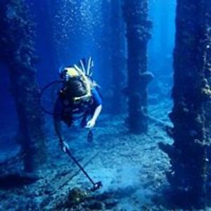 murawski_adrienne avatar