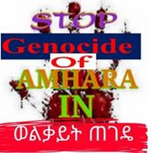 Save_Ethiopia avatar