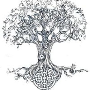 ale_lorenzetti avatar