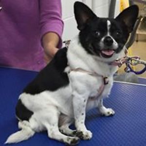 supersarah1972 avatar