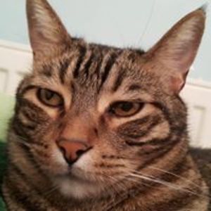 burcin_topuzoglu avatar