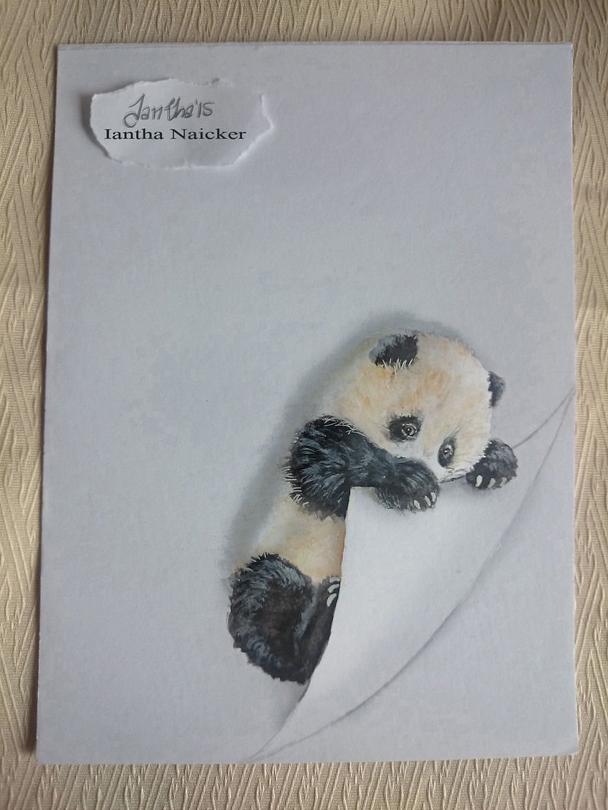 My Animal Drawings Try To Leap Off The Page | Bored Panda