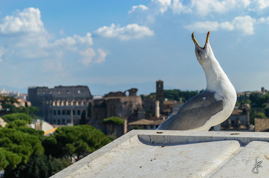 The Most Photogenic Capital In Europe Is Rome And Here's Proof