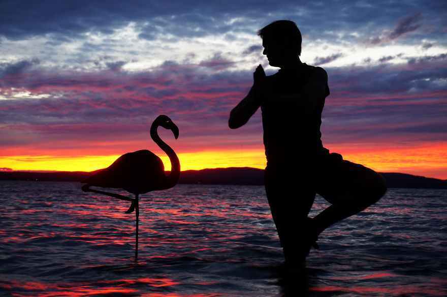 My Cardboard Cutouts Come To Life In Magical Sunset Silhouettes