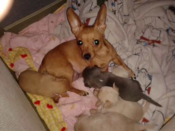 Katee And Her Babies