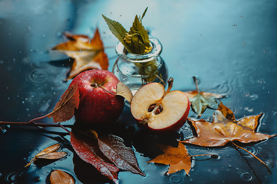 I Illustrate Moments Of Autumn And Rain With Still-Life Photography