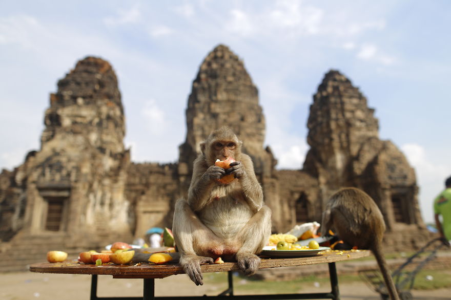 A Trip To Thailand Through My Camera Lens