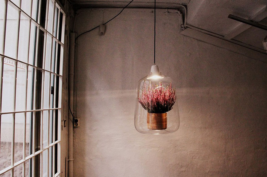 Plant Lamps That Will Give Your Flowers The Sunshine They Miss During Winter