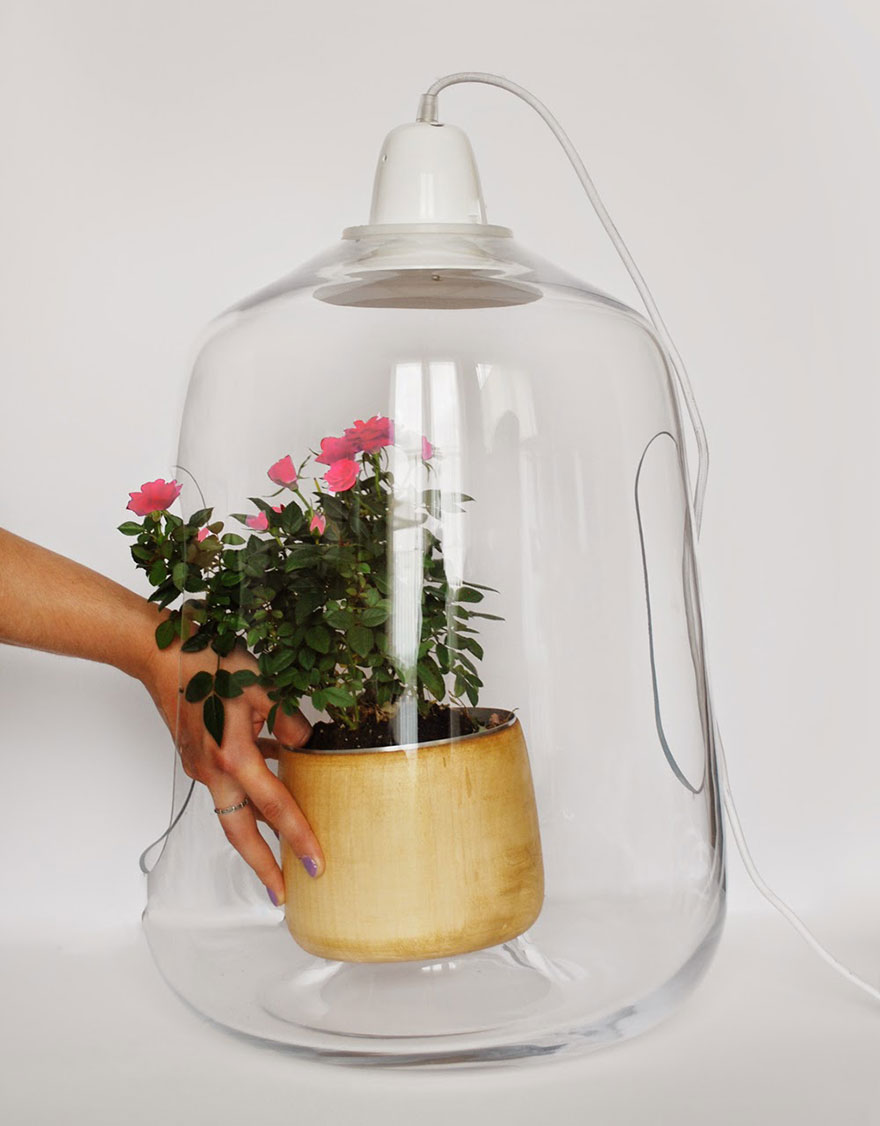 Plant Lamps That Will Give Your Flowers The Sunshine They Miss During Winter