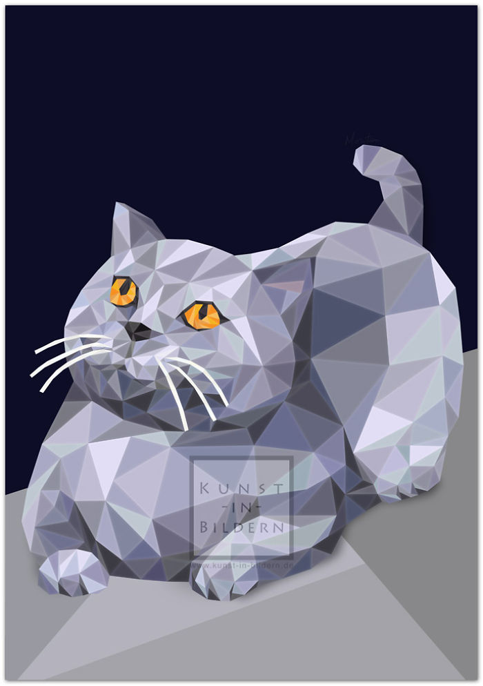 New Impressions For All Cat Lovers