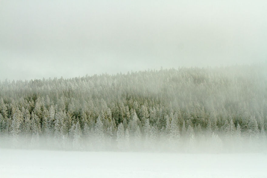 Yellowstone National Park Is The Harshest Place In Winter, Yet Also The Most Beautiful