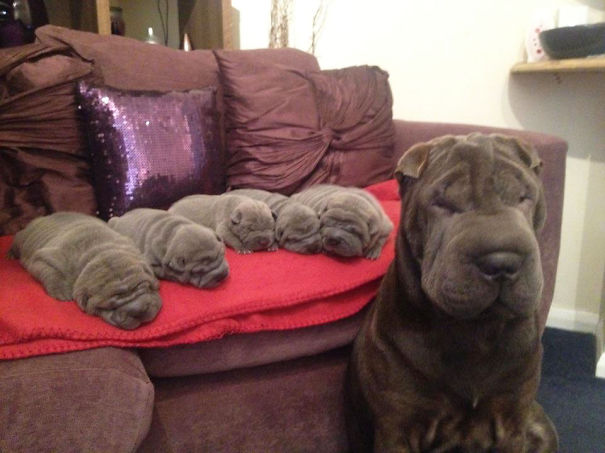 I, Big Wrinkle, Made All These Little Wrinkles