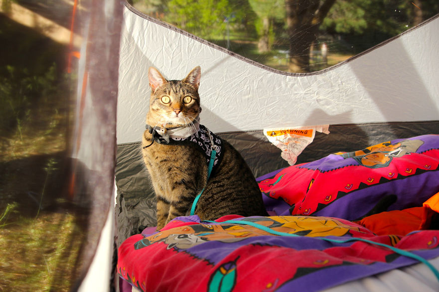 Adventure Cats Hike, Camp, Surf And Climb