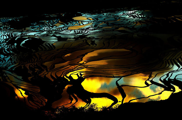 Terraced rice fields in China reflecting colorful light during sunset, showcasing reasons to visit China’s landscapes.