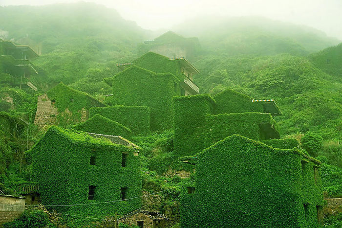Abandoned houses covered in lush green ivy on misty hillsides showcasing unique nature scenes in China travel.