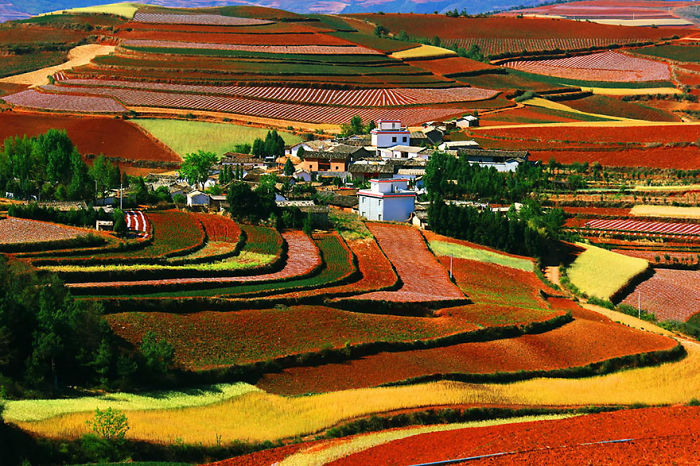 Colorful terraced fields and rural village in China showcasing scenic landscapes to visit and explore.