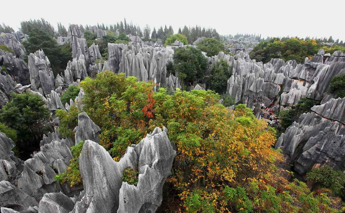 Unique limestone rock formations and lush trees in a scenic landscape showcasing reasons to visit China.