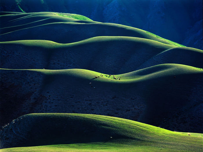 Rolling green hills in China illuminated by sunlight, showcasing breathtaking natural landscapes for travelers to explore.