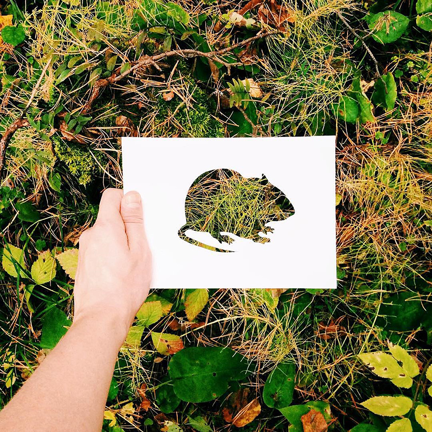Artist Uses Nature To Color Animal Paper Silhouettes