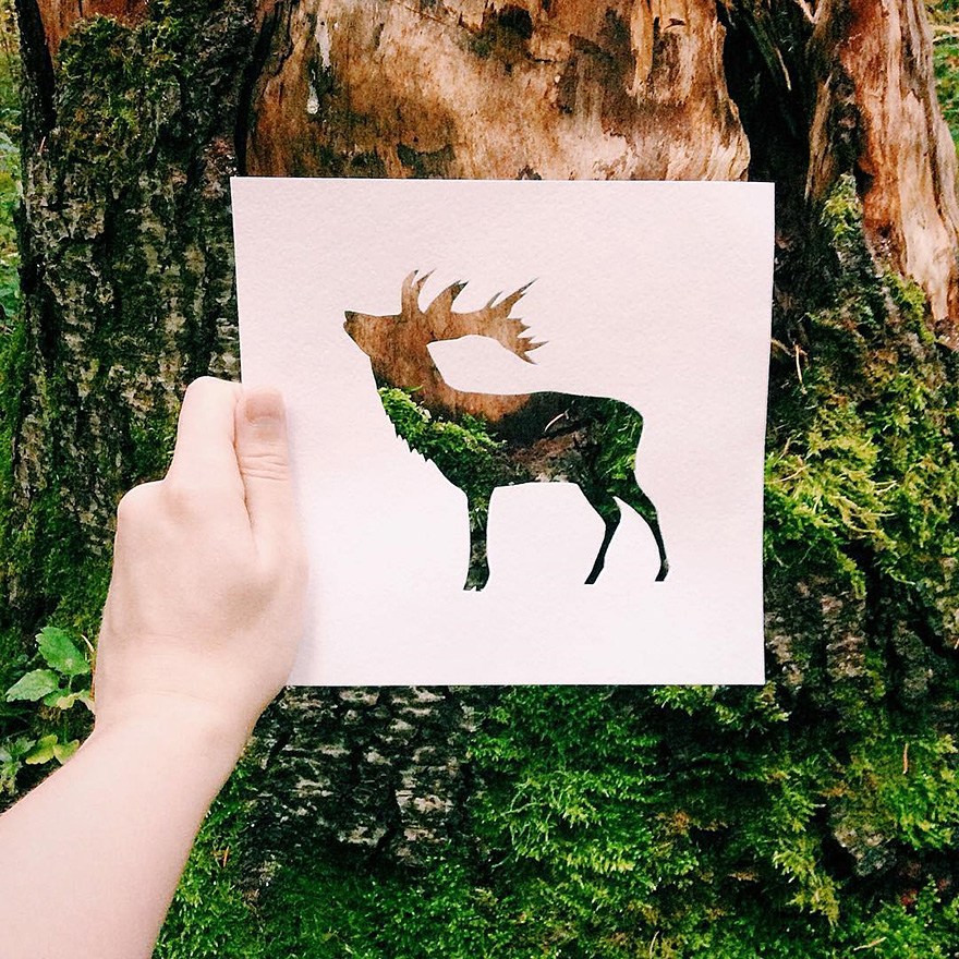 Artist Uses Nature To Color Animal Paper Silhouettes