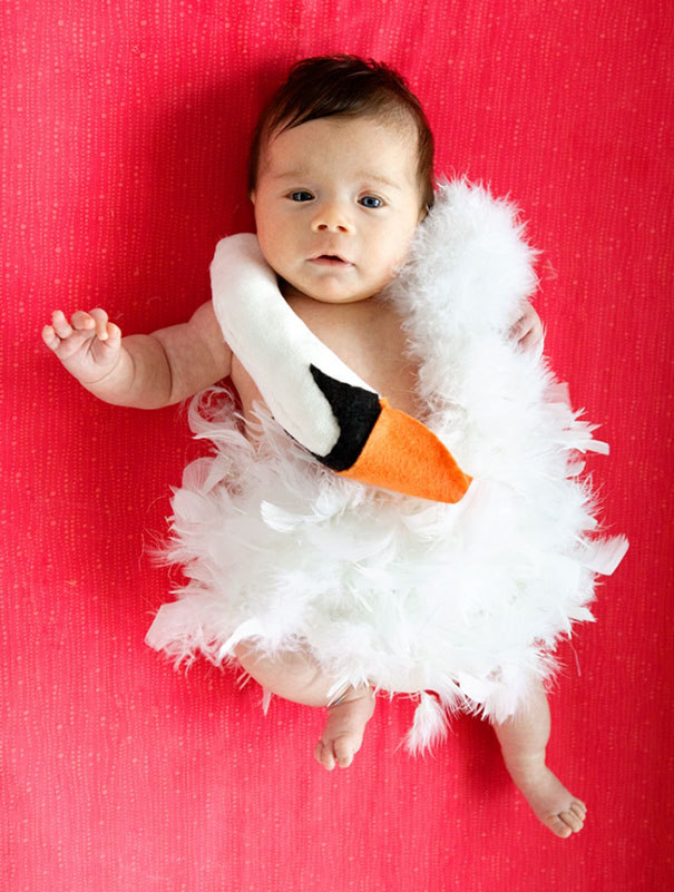 My 7-Week-Old Baby Girl, Remy Sheehan, Dressed As Baby Bjork For Her First Halloween