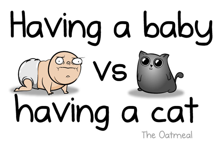 baby-vs-cat-oatmeal-comics-10