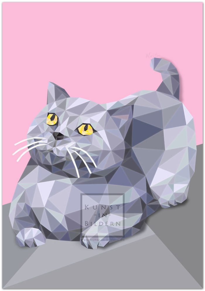 New Impressions For All Cat Lovers
