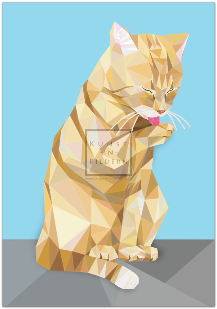 New Impressions For All Cat Lovers