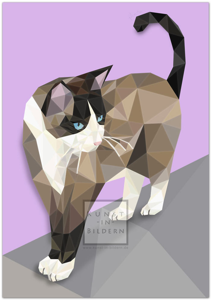 New Impressions For All Cat Lovers