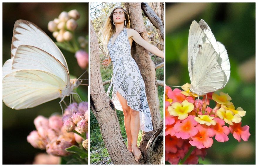 Turning Butterflies Into Boutique Fashion