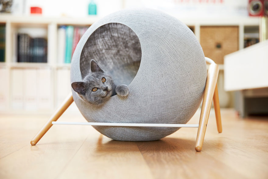 Cat Cocoons Designed For Modern Interiors And Made By People With Disabilities