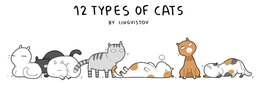 12 Types Of Cats