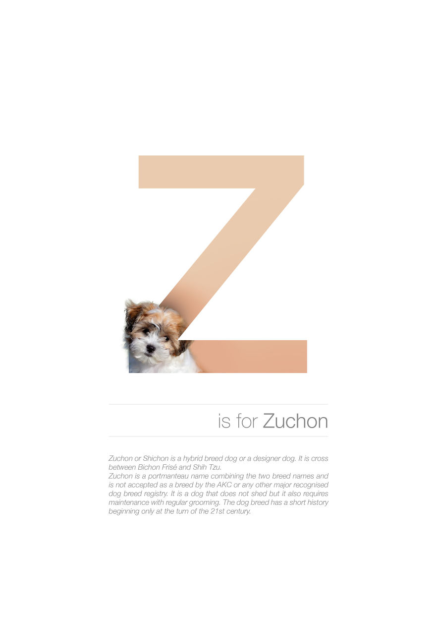 dog breeds that start with the letter z