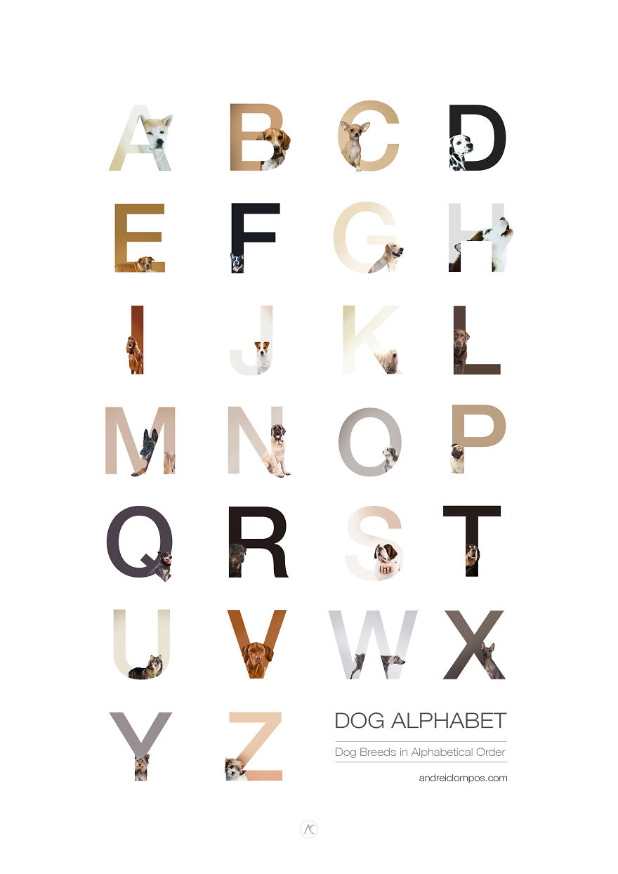 Dog Alphabet That I Made From The First Letters Of Their Breeds