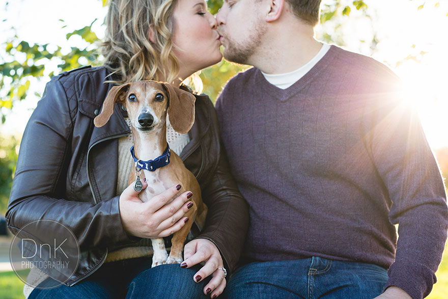 Wiener Dog Totally Photobombs Couple's Engagement Photos