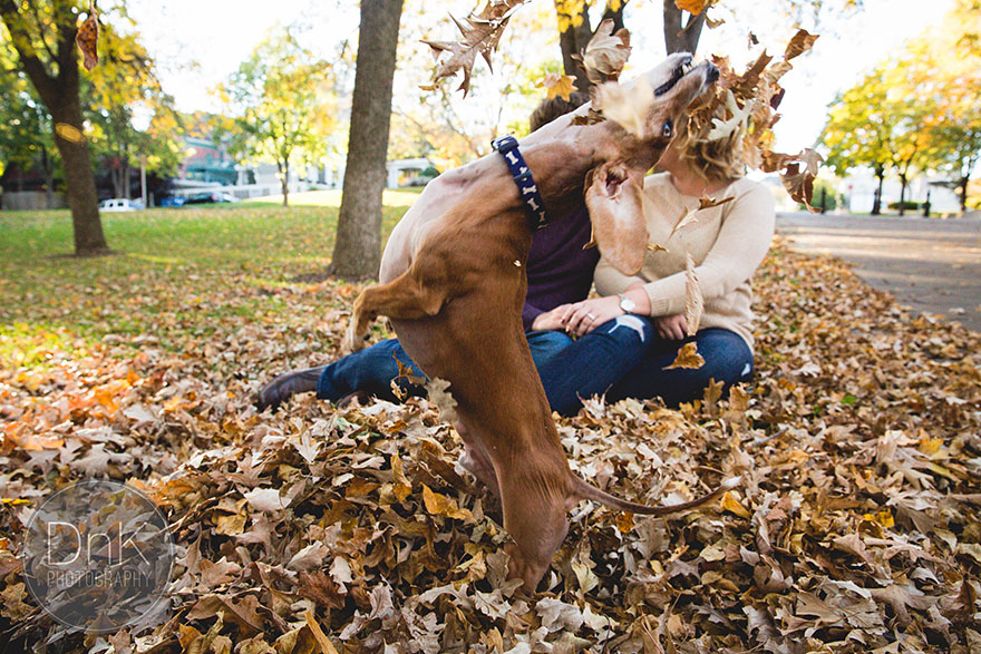 Wiener Dog Totally Photobombs Couple's Engagement Photos